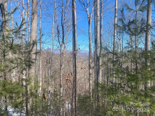 5 High Peak Dr, Burnsville, NC 28714