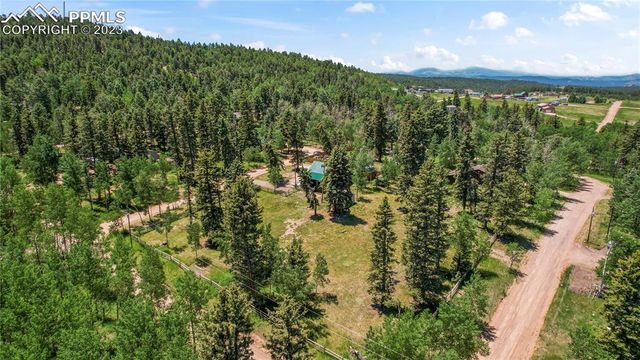 62 Maid Marian Dr, Divide, CO 80814