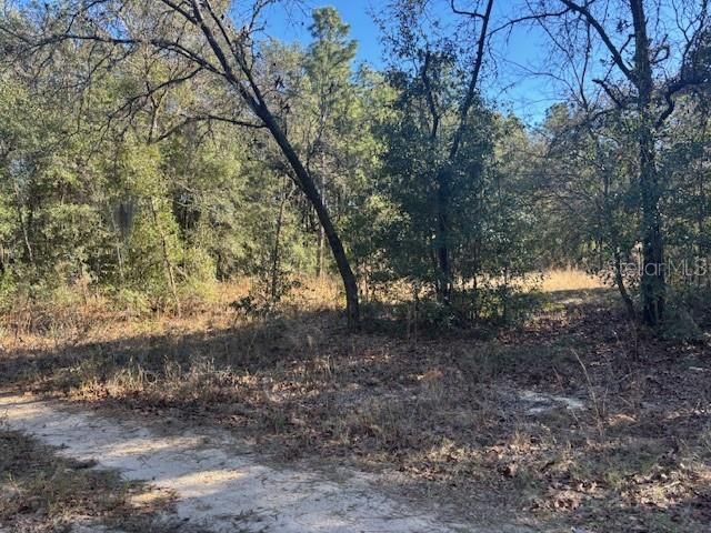 NW 9th Pl #28-33, Ocala, FL 34482