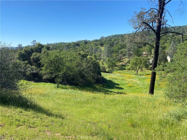 17 Titan Way #289, Coarsegold, CA 93614