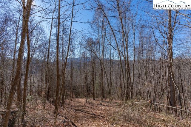 3000 Elk River Road, Elk Park, NC 28622