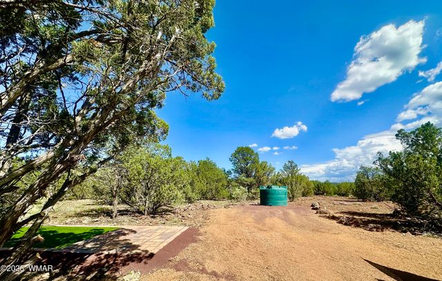 18 N3573, Vernon, AZ 85940
