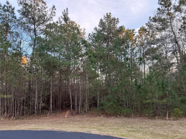 29001 Colin Ct, Waller, TX 77484