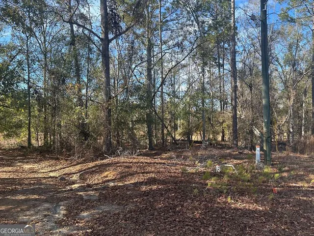 Tommie Dr, Vidalia, GA 30474
