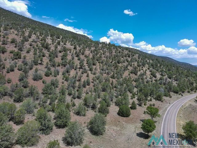 407 State Highway 435, Reserve, NM 87830