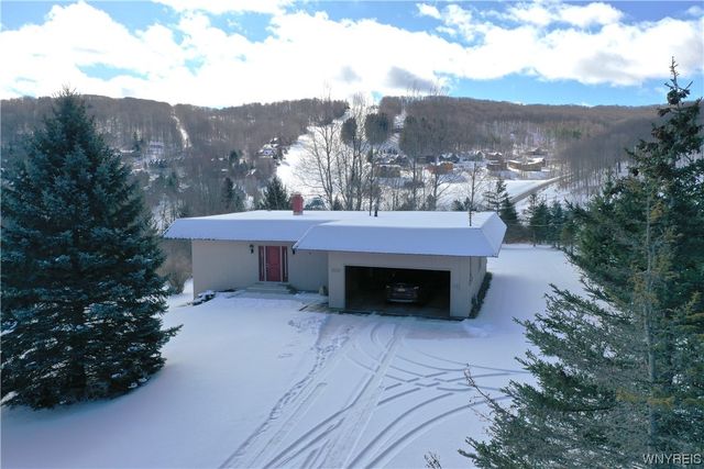 7025 Nys Rte #242, Ellicottville, NY 14731