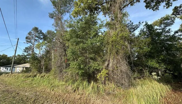 Olive Cir #27, Ocala, FL 34472