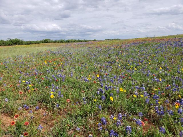 State Highway 70, Sweetwater, TX 79556