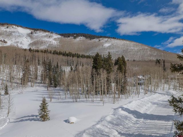656 Meadow Ln, Crested Butte, CO 81224