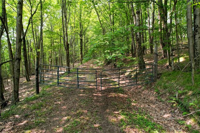 Red Kill Rd, Fleischmanns, NY 12430