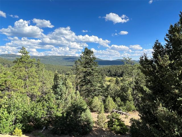 Badger Rd   #4, Chama, NM 87520