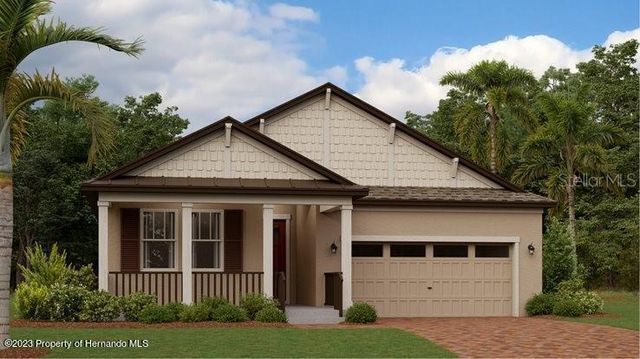 10860 Ibis Brook Ct, Land O Lakes, FL 34638