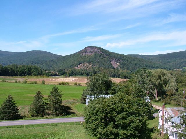 0WP Clauverwie Rd, Middleburgh, NY 12122