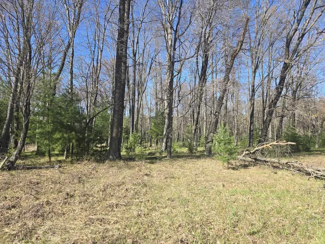 0 Chicago Avenue, Arkdale, WI 54613