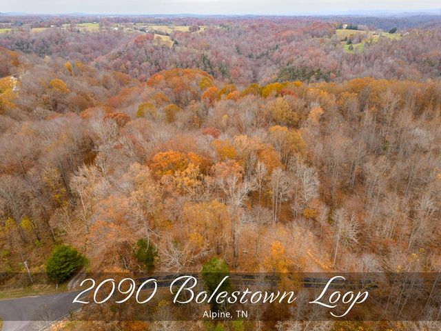2090 Bolestown Loop, Alpine, TN 38543