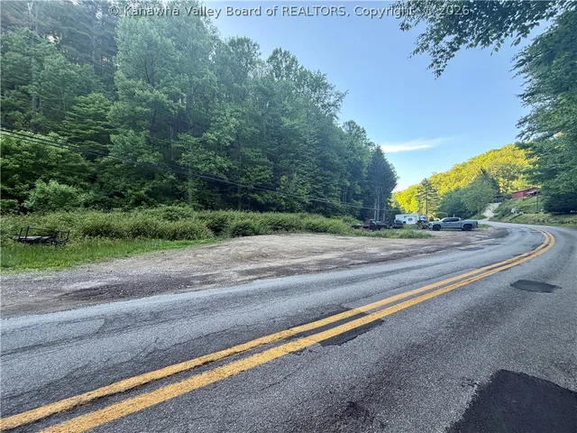 868 Bulger Rd, Alkol, WV 25501