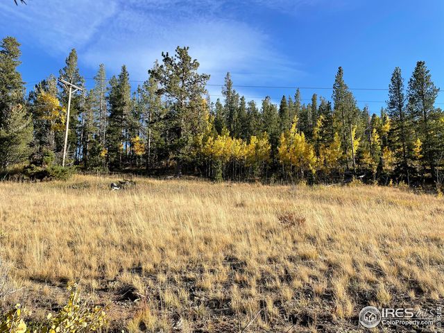90 Kispoko Ct, Red Feather Lakes, CO 80545
