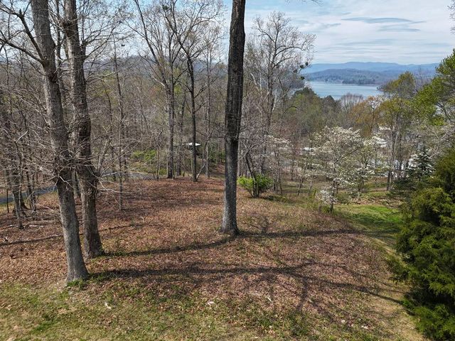 12 Chatuge Cove Dr, Hayesville, NC 28904