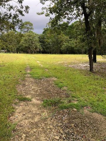 17085 Clearwater Creek Ln, Perry, FL 32348