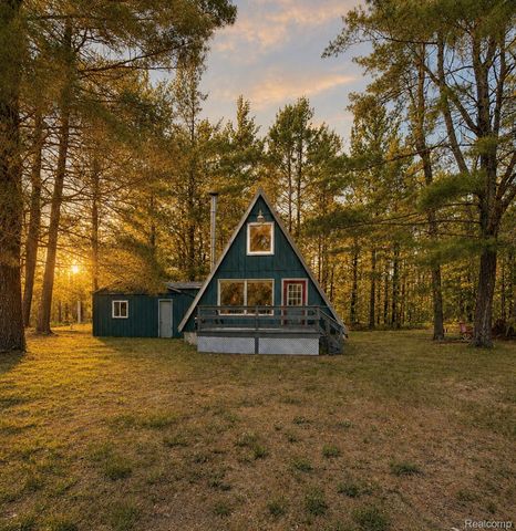 6822 Arapahoe Trl, Gaylord, MI 49735