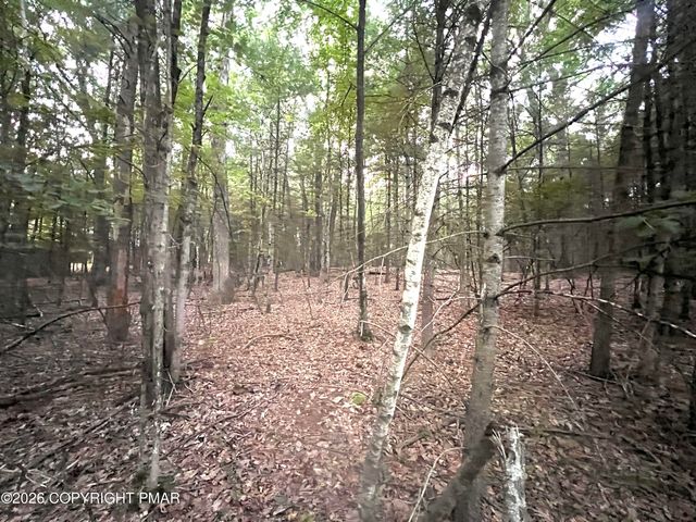 1 Arlene Dr, Effort, PA 18330