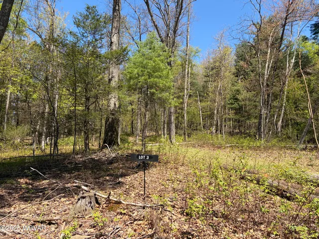 112 Tallman Hollow Rd #3, Montoursville, PA 17754