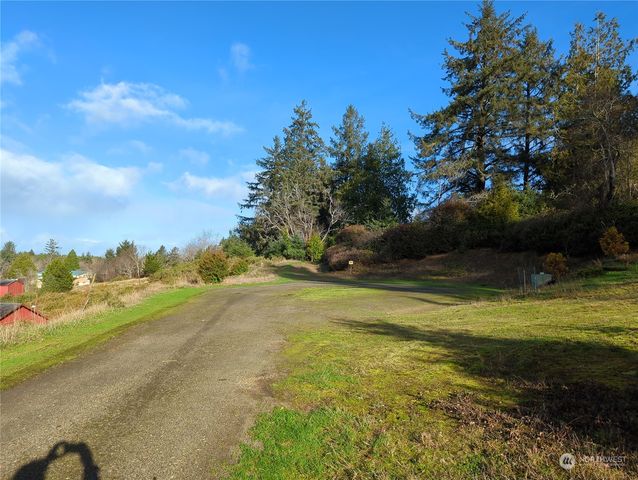 2917 Oysterville Rd, Oysterville, WA 98641