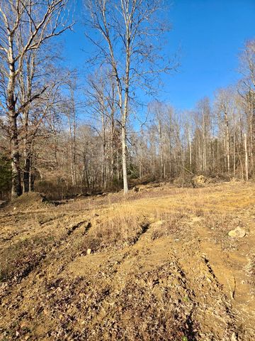 9999 Dorothy Bailey Rd, London, KY 40744