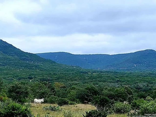 3049 N Little Creek Rd, Utopia, TX 78884