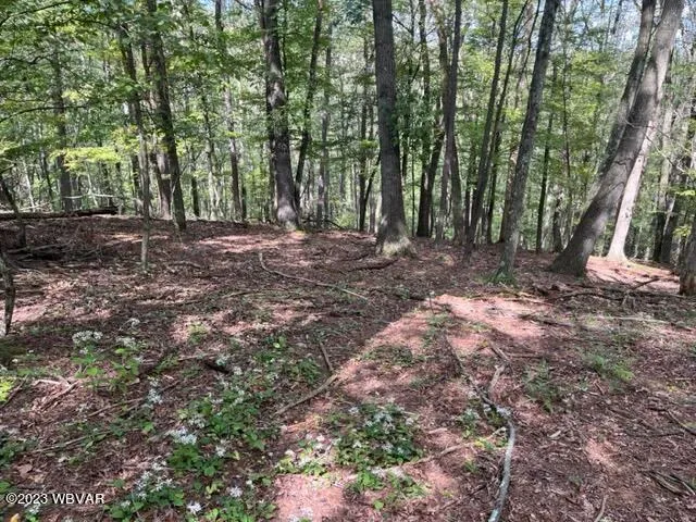 Parcel 178.01 Windfield Dr, Williamsport, PA 17701