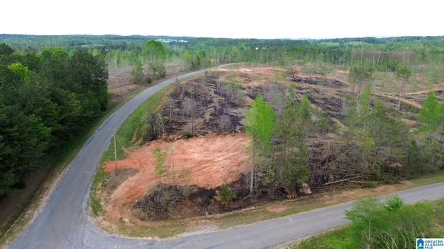 Center Hill Rd #10.26, Delta, AL 36258