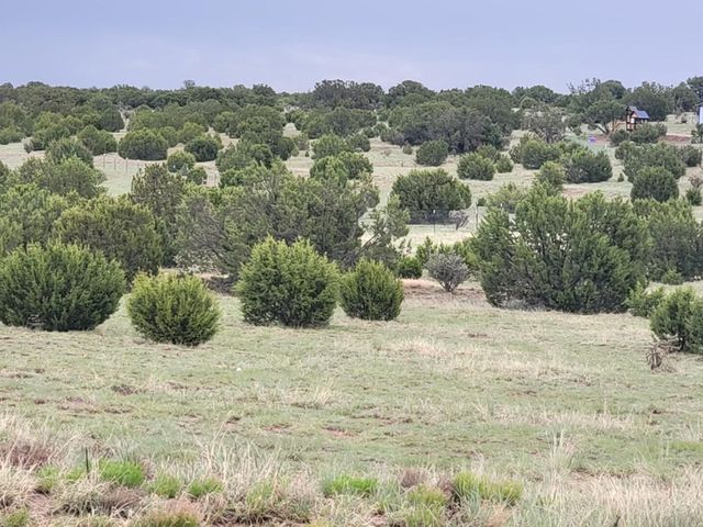 95 Woodline Dr, Edgewood, NM 87015