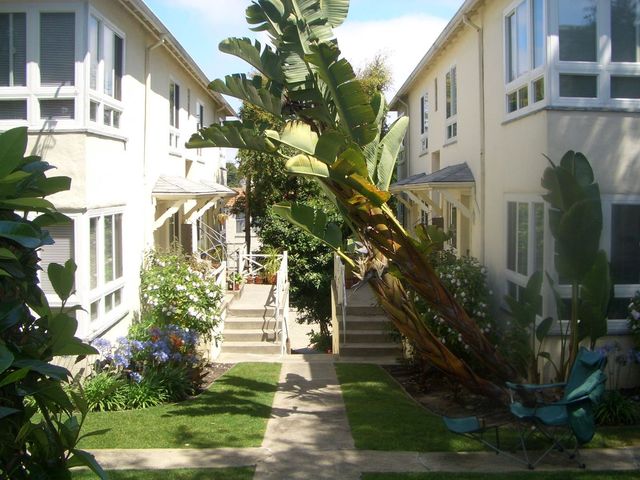 2546-2558 Ivy Dr #2564A, Oakland, CA 94606