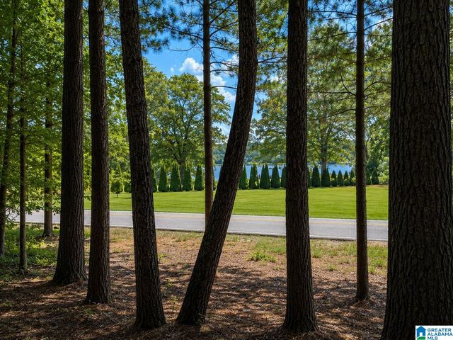 Stemley Rd #1, Lincoln, AL 35096