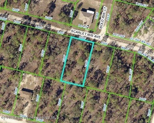 Scarlet Ibis Ave, Weeki wachee, FL 34614