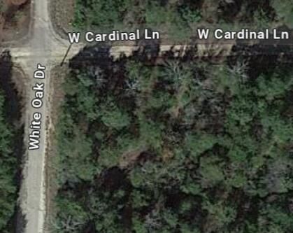 Corner Lot Cardinal & White Oak, Lead Hill, AR 72644