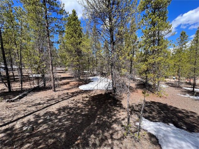 180 Mount Massive Dr, Twin Lakes, CO 81251