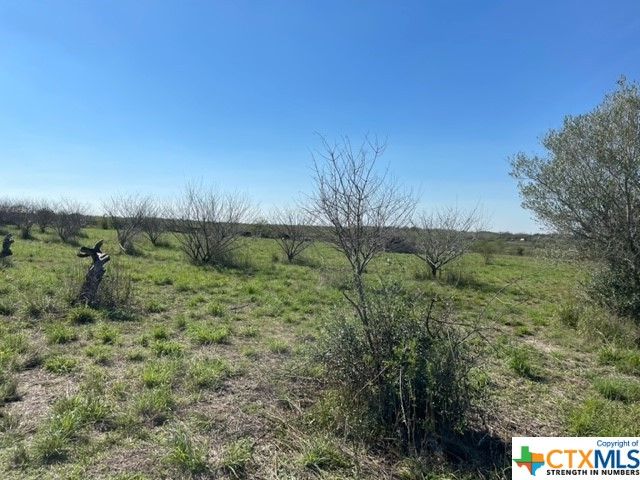 2 County Road 112, Floresville, TX 78114