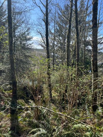 Lot100/200 Fisher Rd, Pacific City, OR 97135