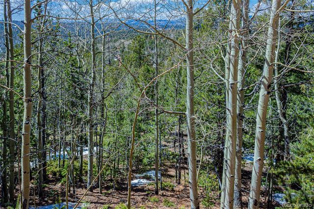336 Witherite Drive  Lot 27, Divide, CO 80814