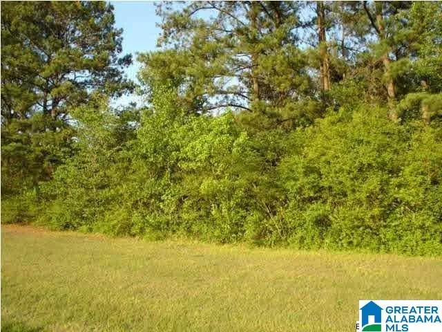 8421 Rouse Rd, Warrior, AL 35180