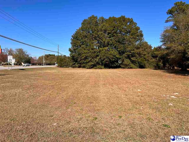 Country Club Dr #51, Johnsonville, SC 29555