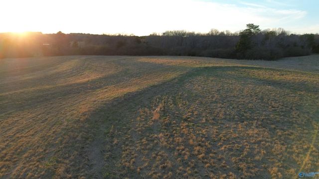 4.51 Ester Rd, Grant, AL 35747