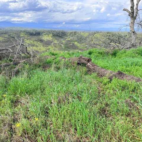 15782 Stagecoach Rd, Corning, CA 96021