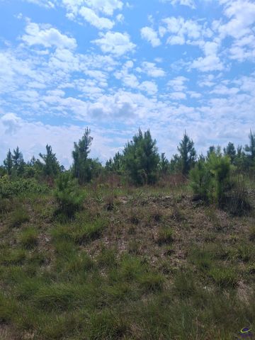 Abbeville Hwy, Eastman, GA 31023
