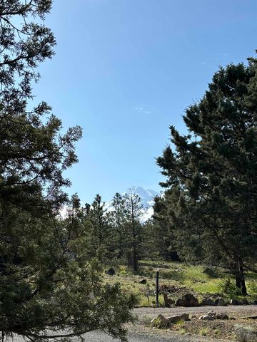 Lot 136 Harborview Dr, Weed, CA 96094