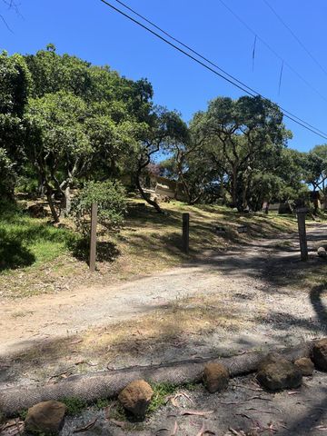 17160 Wilson Way, Royal Oaks, CA 95076