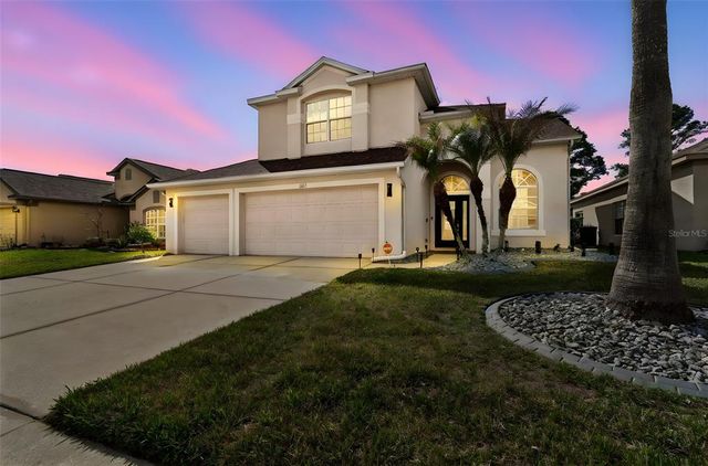 3633 Morgans Bluff Ct, Land O Lakes, FL 34639