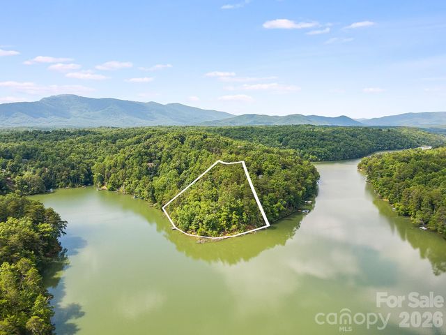 Canoe Dr #40, Mill Spring, NC 28756