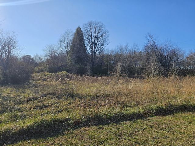 Yates Rd, Hillsboro, TN 37342